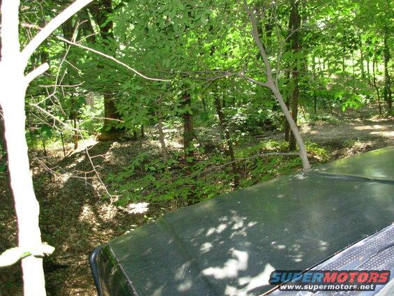 10061202blazing.jpg While waiting for Greg to reinstall one rear axleshaft in his Disco, I decided to open this 4-wheeler trail for trucks.