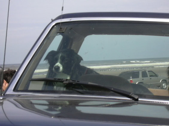 dscn0679.jpg Where's da beach?