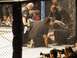 1996 Ford Bronco - MMA event with fighters, referees, and photographers capturing the action inside and outside the cage.