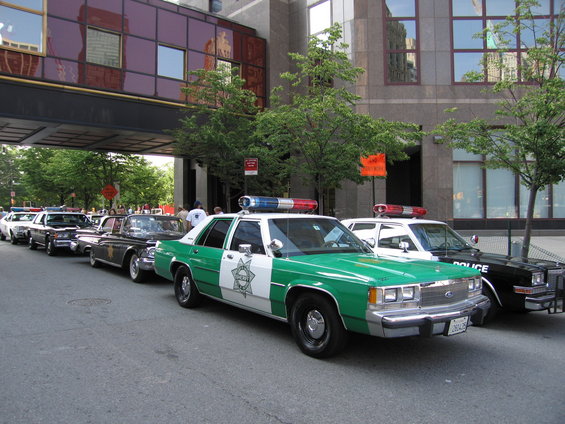 picture-107.jpg 