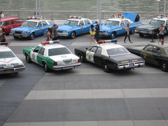 picture-142.jpg 