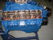 1969 Ford Torino - Close-up view of a blue V8 engine's internal components, including the camshaft and valve springs.