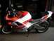 1991 Honda CBR-RR - CL pic