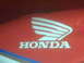 1991 Honda CBR-RR - Close-up of the Honda wing logo and nameplate on a red surface.