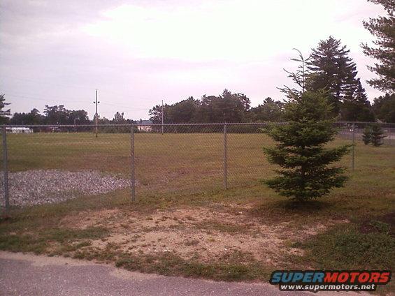 Chain-link fence in front of a grassy field with trees in the background