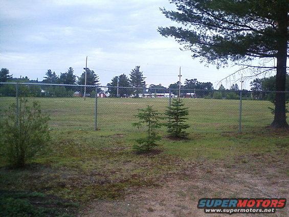 Chain-link fence in a grassy field with trees and buildings in the distance