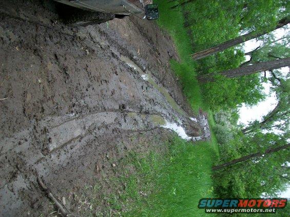 Muddy track through trees, with part of a vehicle visible on the left