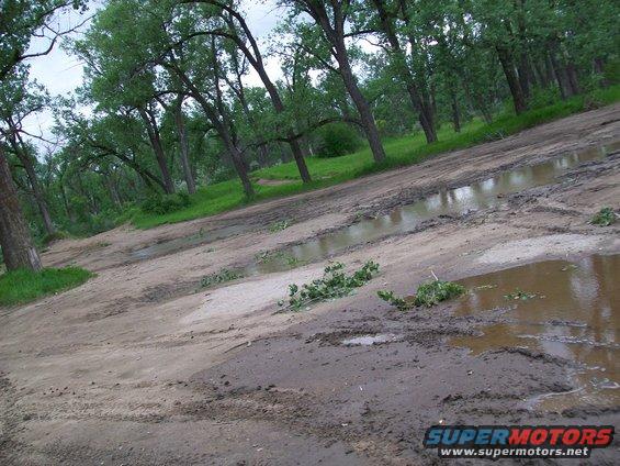muddy dirt road with puddles and trees