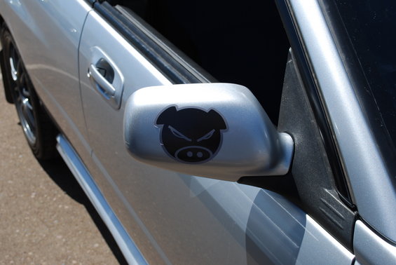 Silver car door and side mirror with a black angry pig sticker