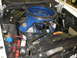 1971 Ford Mustang photo