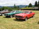 1965 Ford Mustang - A red 1965 Mustang coupe and a green 1967-68 Mustang fastback are parked on a grassy field with a pickup truck in the background.