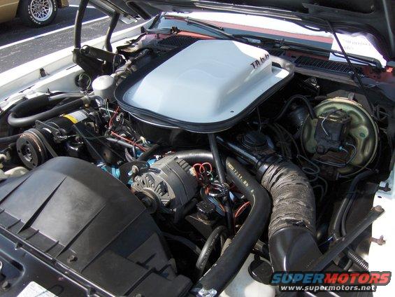 White shaker hood scoop with 'TA 6.6' visible, showing engine bay of a 1977 Pontiac Trans Am