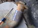 1995 Ford F-150 - A close-up of a rusted pipe with measurement tape and a screwdriver, suggesting a repair or part replacement.
