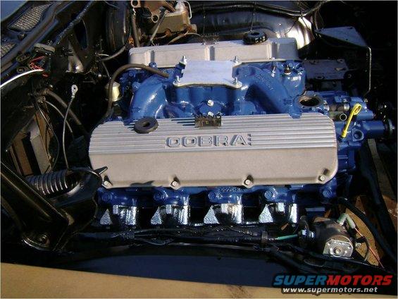 Ford Cobra engine with blue intake manifold and silver valve covers