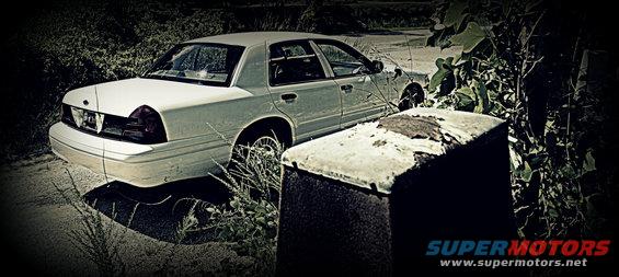 White 2002 Ford Crown Victoria sedan parked outdoors, rear quarter view, overgrown vegetation