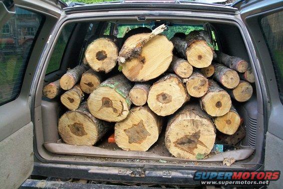 100_1428.jpg 