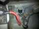 1979 Ford Bronco - Starter Solenoid