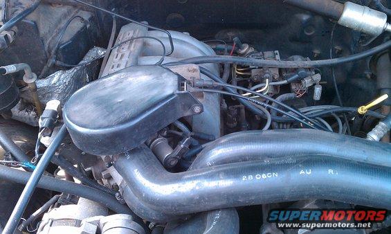 Engine bay with hoses and wiring visible
