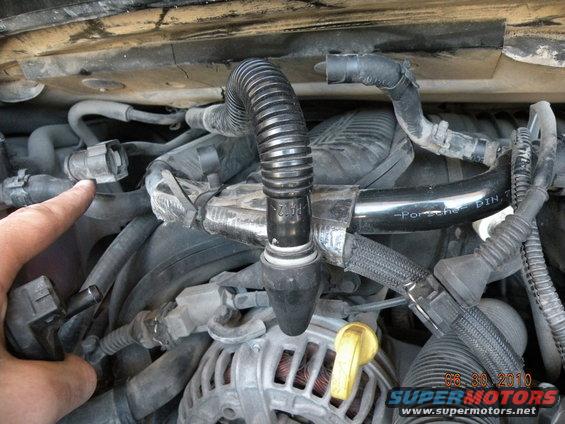 Engine compartment with black corrugated hose and a black hose labeled "-Porsche DIN 7"