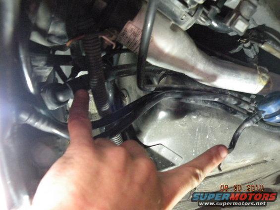 Close-up of engine bay with hands pointing at wiring and hoses. Date stamp reads 08.30.2010