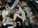 1989 Ford Bronco - Close-up view of engine bay components, including hoses and wiring harnesses.