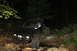 1984 Ford Bronco II - A 1984 Ford Bronco II is seen from the front in this nighttime photograph.