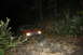 1984 Ford Bronco II - A vehicle's headlights are visible at night, with trees and foliage in the foreground.