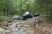 1984 Ford Bronco II - Off-road vehicles tackle a challenging rocky path through a dense forest.