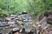1984 Ford Bronco II - Off-road vehicles traverse a challenging, boulder-strewn path through a dense forest.