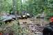 1984 Ford Bronco II - Several people watch as a yellow Jeep Wrangler navigates a water obstacle in a forest.