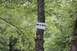 1984 Ford Bronco II - A sign reading "Wet N Wild" is attached to a tree trunk amidst dense green foliage.