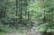 1984 Ford Bronco II - A sign reading "Fence Line" is visible in a wooded area with rocks and trees.