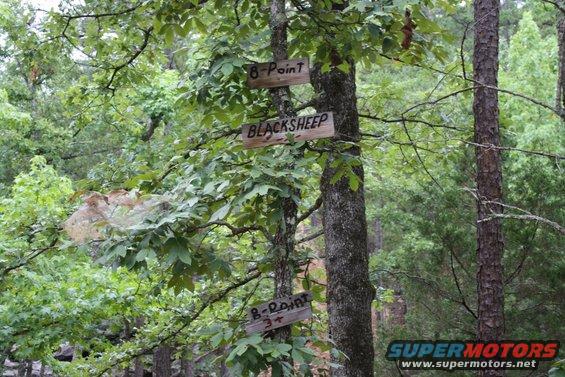 Wooden signs reading '8-Point' and 'BLACKSHEEP' are attached to trees in a wooded area
