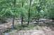 1984 Ford Bronco II - A natural landscape with trees and rocks, devoid of any vehicles.