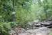 1984 Ford Bronco II - A rocky trail winds through trees, marked by signs for 'Green Mamba' and 'Sandy Creek'.