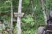 1984 Ford Bronco II - Signs in a wooded area indicate the need for a winch to pull a cable.