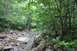 1984 Ford Bronco II - A signpost in a wooded area indicates 'GREEN MOMBA' along a rocky creek bed.