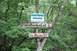 1984 Ford Bronco II - Wooden trail signs in a forest indicate directions for 'Green Mamba Extension', 'GreenMombaExt. 6', and 'to Bounty Trl.'