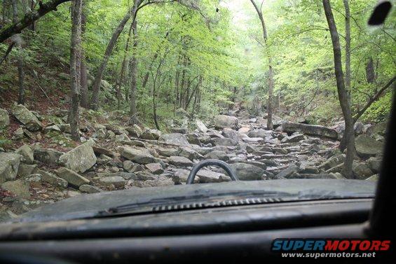Driving a vehicle on a rocky trail through a forest