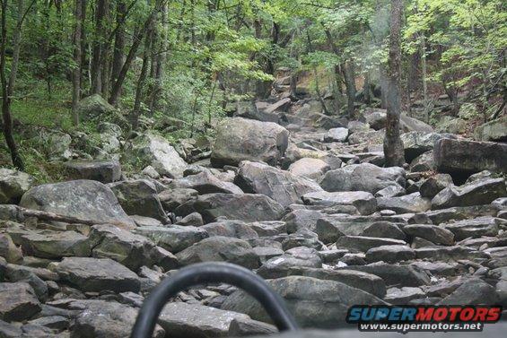 Steering wheel in foreground, rocky path ahead, trees and foliage
