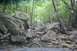 1984 Ford Bronco II - Navigating a challenging rocky trail through a dense forest, with water visible on the path.