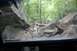 1984 Ford Bronco II - Navigating a challenging rocky path through a dense forest, the vehicle's interior is visible.