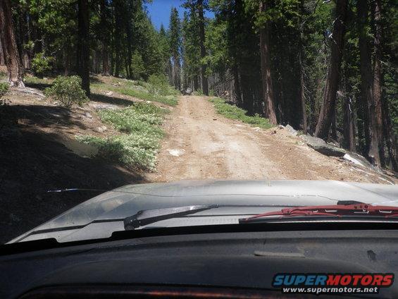 Vehicle dashboard and windshield view of a dirt road through a forest