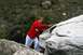 1990 Chevrolet Suburban - A person is rock climbing on a large boulder in a natural setting.