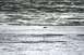 1990 Chevrolet Suburban - A seal is visible in the water, with a textured, striped background suggesting a shoreline or water patterns.