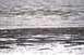 1990 Chevrolet Suburban - A view of mudflats and rippled water under an overcast sky.