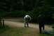 1990 Chevrolet Suburban - A dirt path winds through a dense forest with two people visible in the scene.