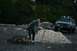 1990 Chevrolet Suburban - A man is preparing to use a winch on a light blue SUV parked on a rocky beach with trees in the background.