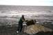 1990 Chevrolet Suburban - Man attempts to move a large rock on a beach with the ocean in the background.