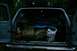 1990 Chevrolet Suburban - The cargo area of an older SUV is filled with various items, including large rocks and camping equipment.